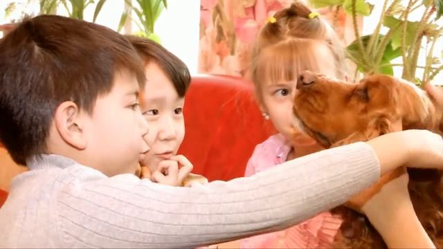 Ребята о зверятах смотреть онлайн