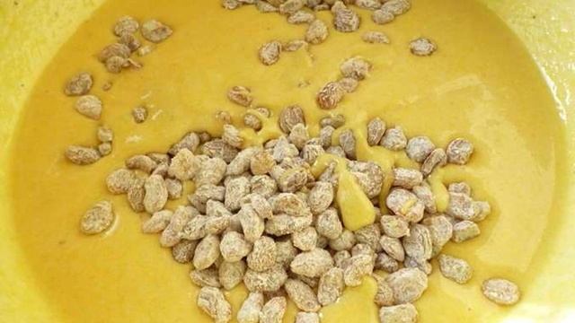 Сборник рецептов