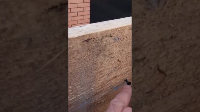 Чеченская Стройка смотреть онлайн