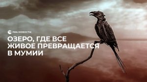 Искупаться и превратиться в мумию: озеро Натрон