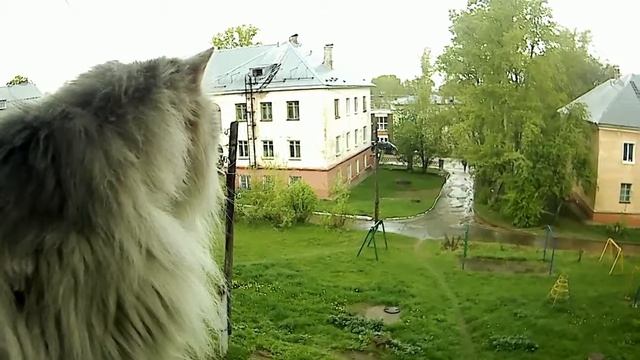 А у нас во дворе.... смотреть онлайн