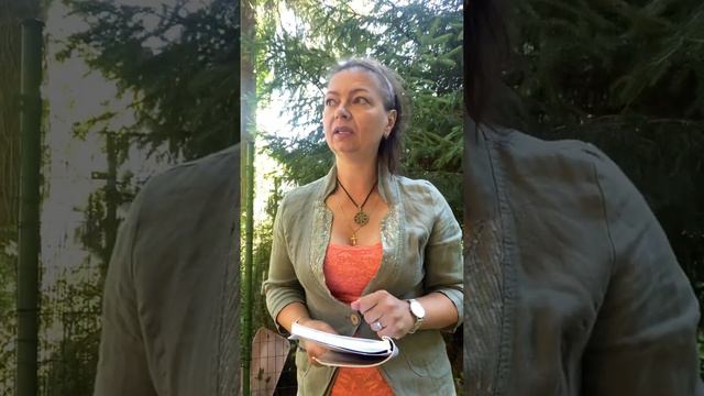 Луна без курса, что это, как влияет на жизнь людей. смотреть онлайн