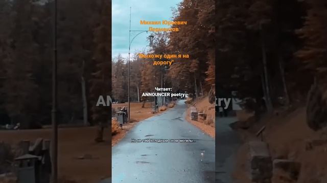 Михаил Юрьевич Лермонтов| Выхожу один я на дорогу #стихи #poetry #рекомендации #motivation #лирика смотреть онлайн