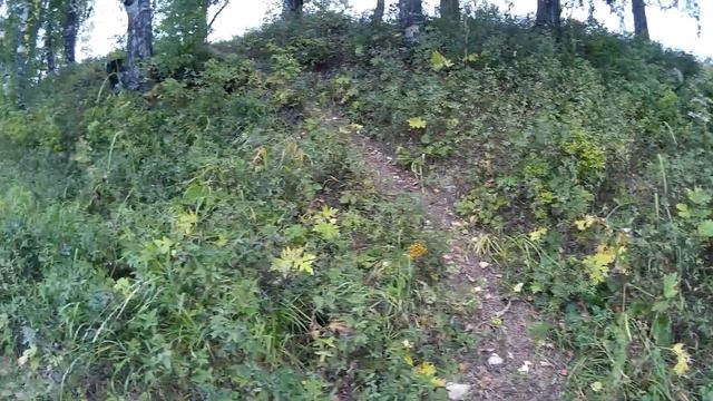 Сентябрьский сплав с рыбалкой 2017 (часть 2) смотреть онлайн