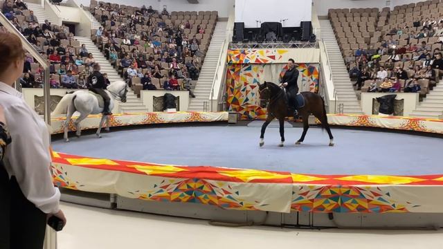Дан Запашный и Нижнетагильский Цирк организовали открытую репетиция артистов и их животных смотреть онлайн