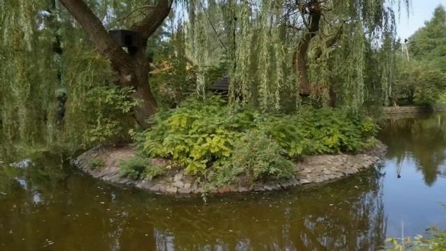 Варшавский зоопарк , Ogród Zoologiczny w Warszawie смотреть онлайн