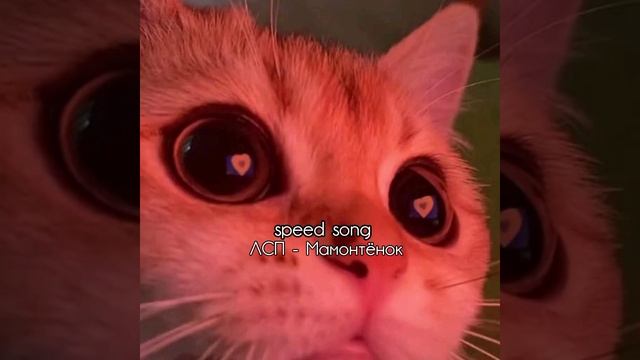 ЛСП- Мамонтёнок (speed up) смотреть онлайн