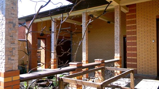 Красивая защита от солнца для веранды вьющиеся растения стойки под виноград смотреть онлайн