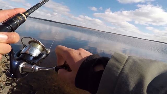 Рыбалка на АЭС!!!Атомные Полосатики! смотреть онлайн