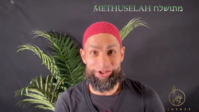 METHUSELAH - The 2000 Year Old Judean Palm Tree is Resurrected смотреть онлайн
