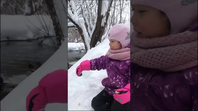 Самая большая утка. смотреть онлайн