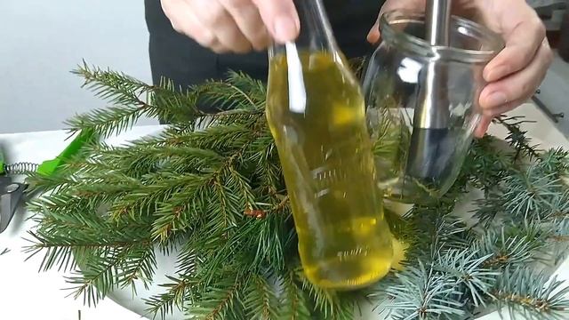 Сделаем домашний хвойный уксус