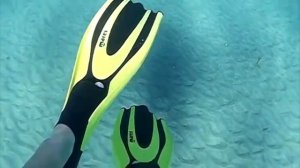 Как выбрать ласты для плавания и дайвинга?
