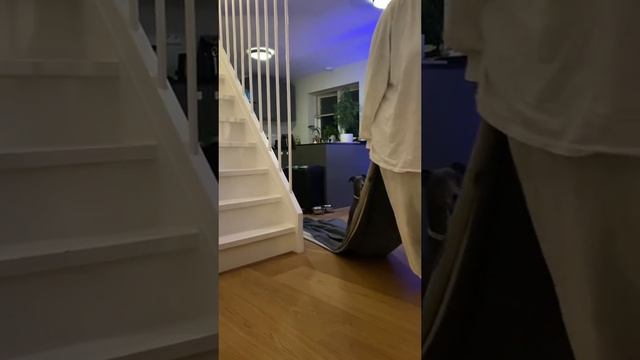 Когда немножко король смотреть онлайн