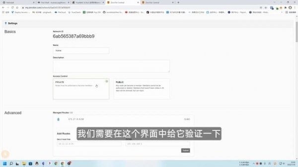 TrueNAS SCALE 自定义应用安装zerotier