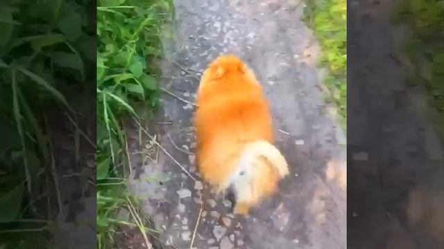 Моя история как я потерялся смотреть онлайн