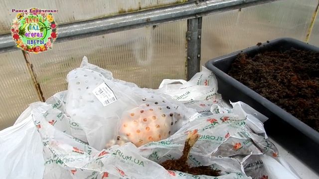 ВАЖНО!!! Цветоводы! 16 и 17 апреля 2021 года - лучшие дни для посадки цветов смотреть онлайн
