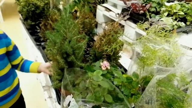 ТРЦ РИО "Белгород, зачем мы туда мы пошли? Едем в Белгород (часть 2) смотреть онлайн