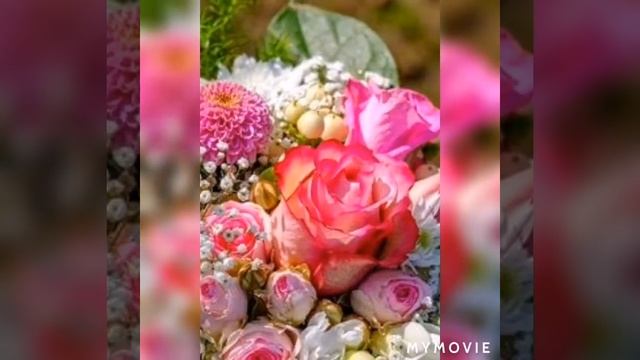 Цветочный ?Привет?Муз.Открытка ??? смотреть онлайн