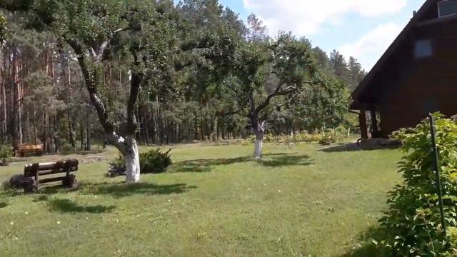 ЧТО МЫ УВИДЕЛИ В ГЛУХОМ ЛЕСУ✔️ДУШЕВНОЕ ИСЦЕЛЕНИЕ✔️ЛЕЧЕБНЫЕ ЧАИ смотреть онлайн