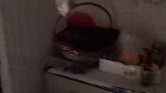 Китайские приколы #7: Это полицейский участок? смотреть онлайн