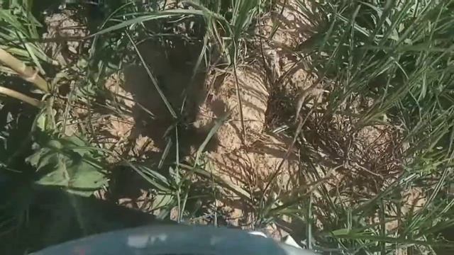 Запуск ратана в пруд без жизни!!! Ратан в пустом пруду. смотреть онлайн