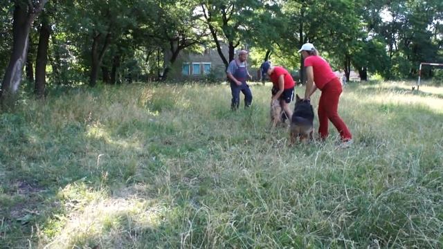Занятие по защите 26.06.17. Фурба и Феррари работают на ухватку. смотреть онлайн