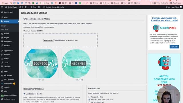 FAVE PLUGINS: Replacing images using the Enable Media Replace WordPress plugin смотреть онлайн