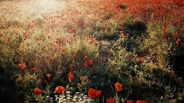 SHAMANIC MUSIC 💙 BEST Shamanic Music : Tribal Drum Journey : Shaya Meditations