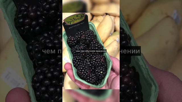Облучение продуктов. Стоит ли опасаться? смотреть онлайн