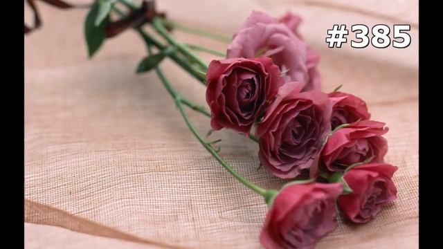 #385. Цветы и растения - самые яркие цветы смотреть онлайн