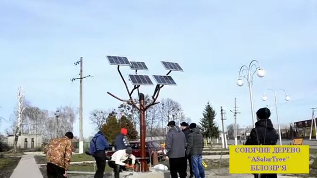 СОНЯЧНЕ ДЕРЕВО смотреть онлайн