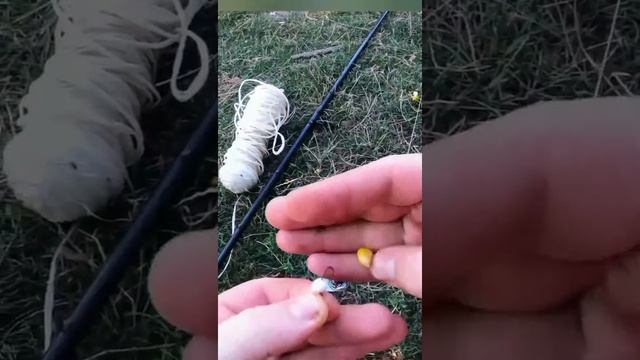 СТОЛЬКО РЫБЫ Я ЕЩЕ НЕ ЛОВИЛ, РЫБАЛКА С НОЧЁВКОЙ! смотреть онлайн