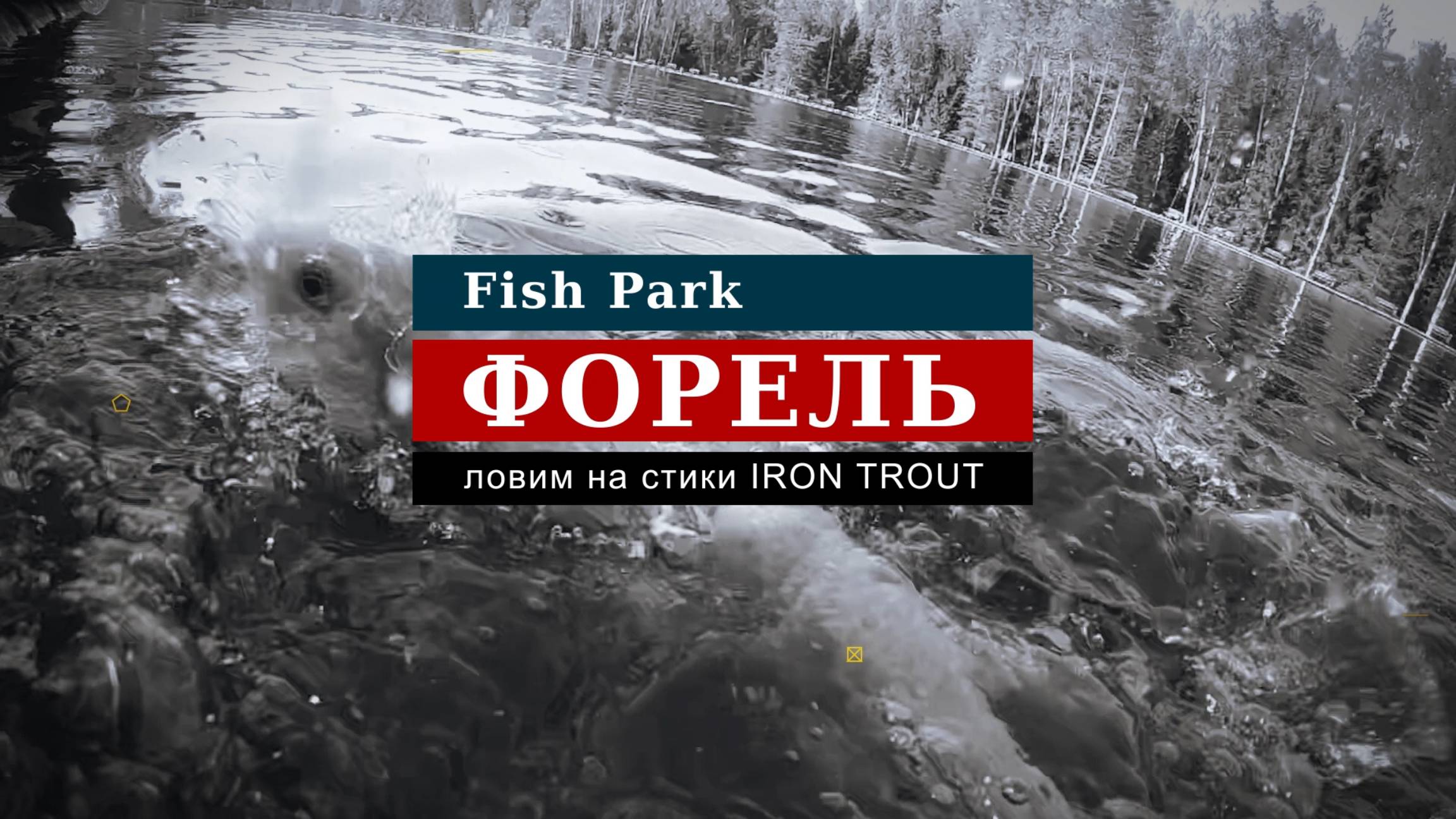 Fish Park. Новый пруд.