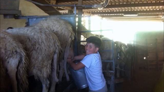 Green Tasting Excursion Caltanissetta "In the Earth of Sicily" смотреть онлайн