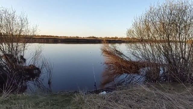 Рыбалка на донки и крокодилы. смотреть онлайн