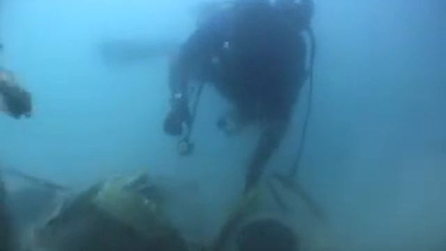 Artificial Reef in Qatar смотреть онлайн
