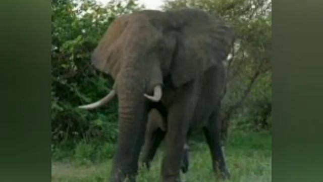 Вьюга. Наталья Юркова смотреть онлайн