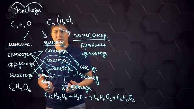 Углеводы. Азотсодержащие соединения. 9 класс. смотреть онлайн