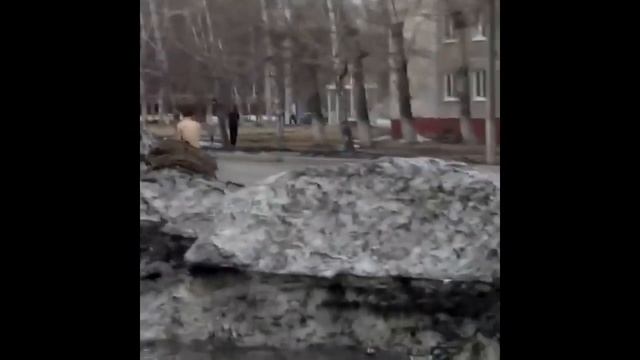 Давно Поляна не шумела смотреть онлайн