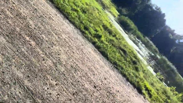 Едем в школу на велике/ Аня на балете/ Откуда беру рецепты смотреть онлайн