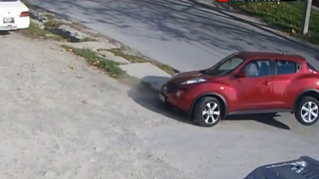 Видеорегистратор Рыбакина - 11 выпуск