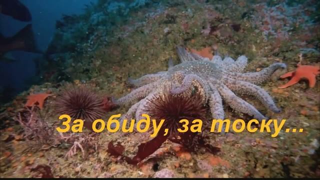 Разговор с Богом смотреть онлайн
