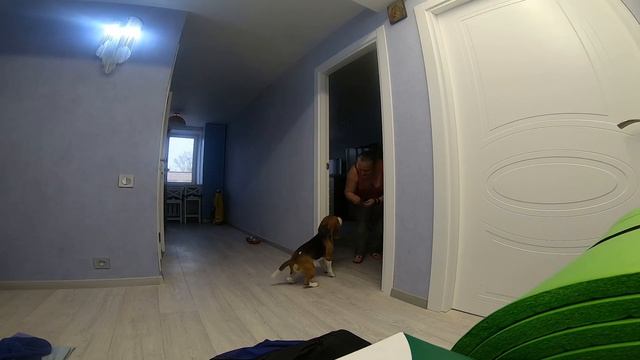 Кто в доме хозяин. Работа с домашними проблемами. И не только... смотреть онлайн