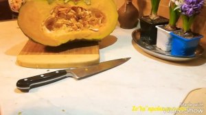 ТЫКВЕ посвящается... сорт ЦАРЕВНА ЛЯГУШКА.