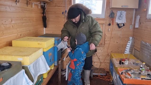 ? Проверка зимовки пчёл без постоянных открытий гнезда 2022 ? смотреть онлайн