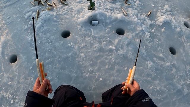 Ловля наваги на комбайны в бухте Рында смотреть онлайн