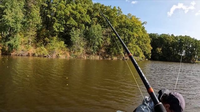 УЛОВИСТАЯ ПРОВОДКА - Джиг в коряжнике! Ловля судака! Рыбалка на спиннинг осенью смотреть онлайн