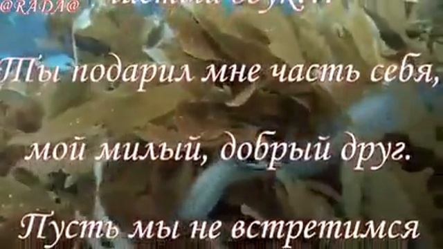 Берегите ДРУЖБУ!!! смотреть онлайн