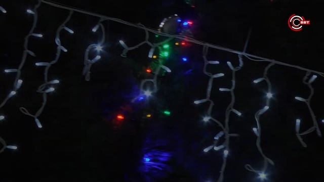 Новогодняя красавица 2019